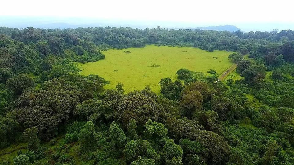 Lush protected Ethiopian forest and grassland representing environmental care