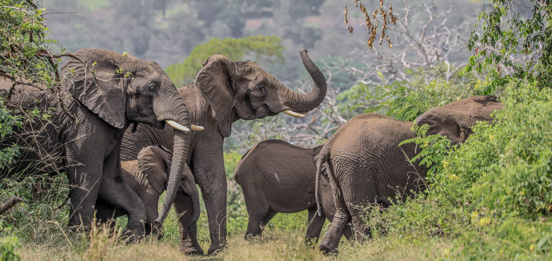 Travel expert planning an Ethiopian itinerary
